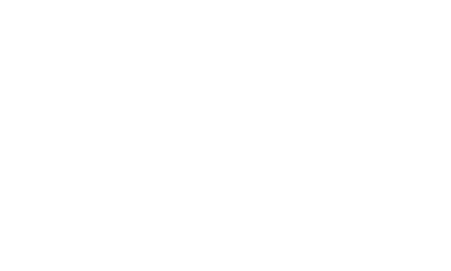 VIva Maris Logo
