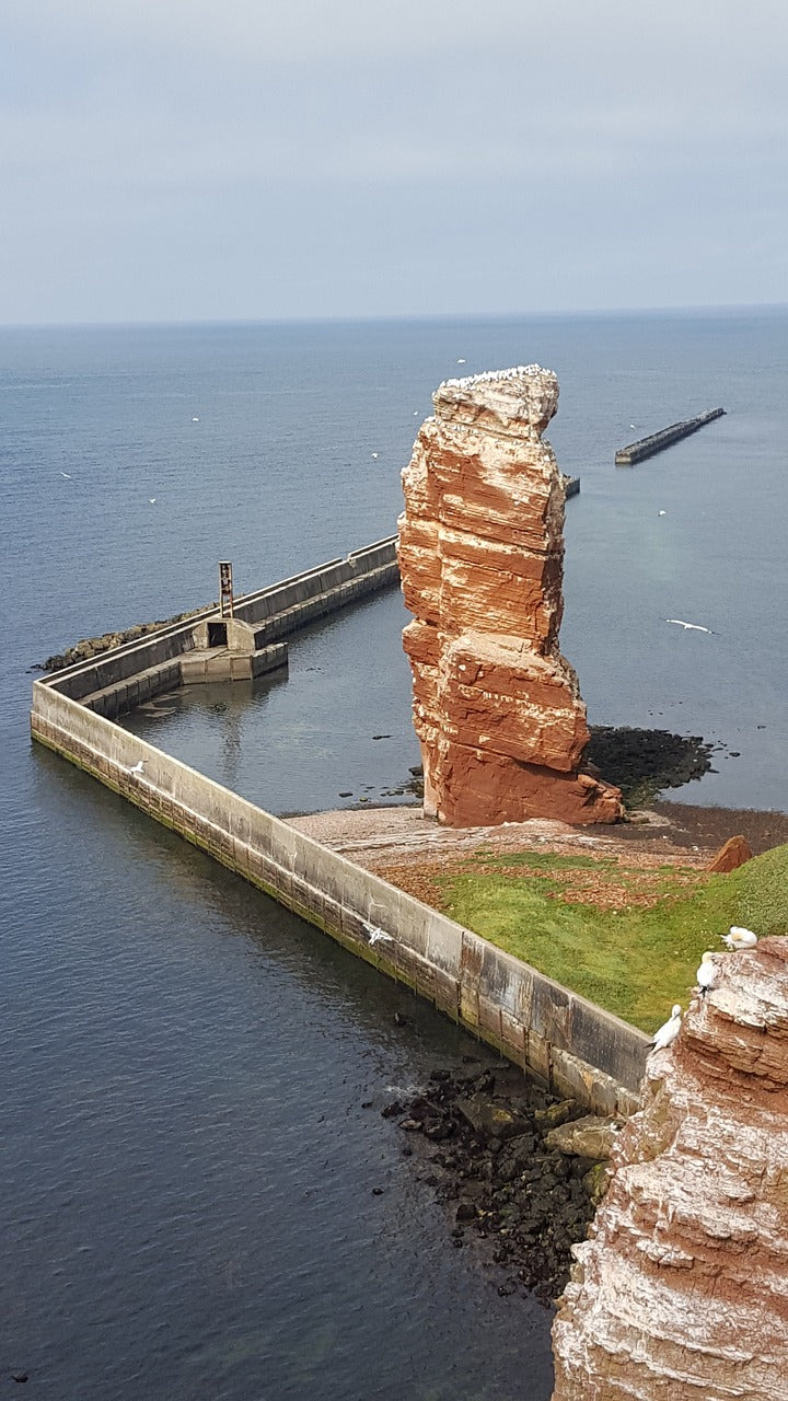 Algen und die Insel Helgoland