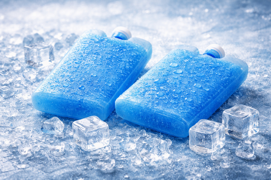 Kühlakkus als Kühlversand für Frischware - Viva Maris Onlineshop