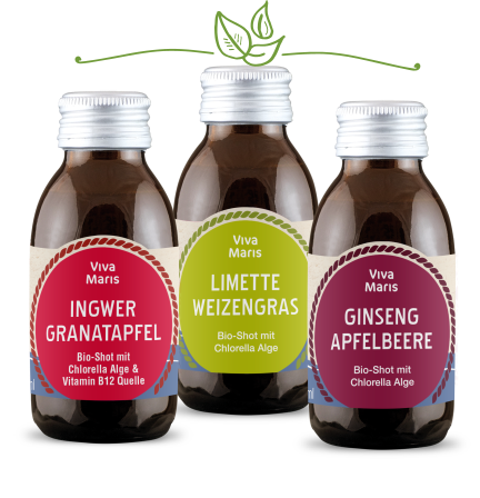 Viva Maris Bio Shot Probierpaket, mit Vitamin B12, 3x100ml - Spare 32% - Viva Maris Onlineshop