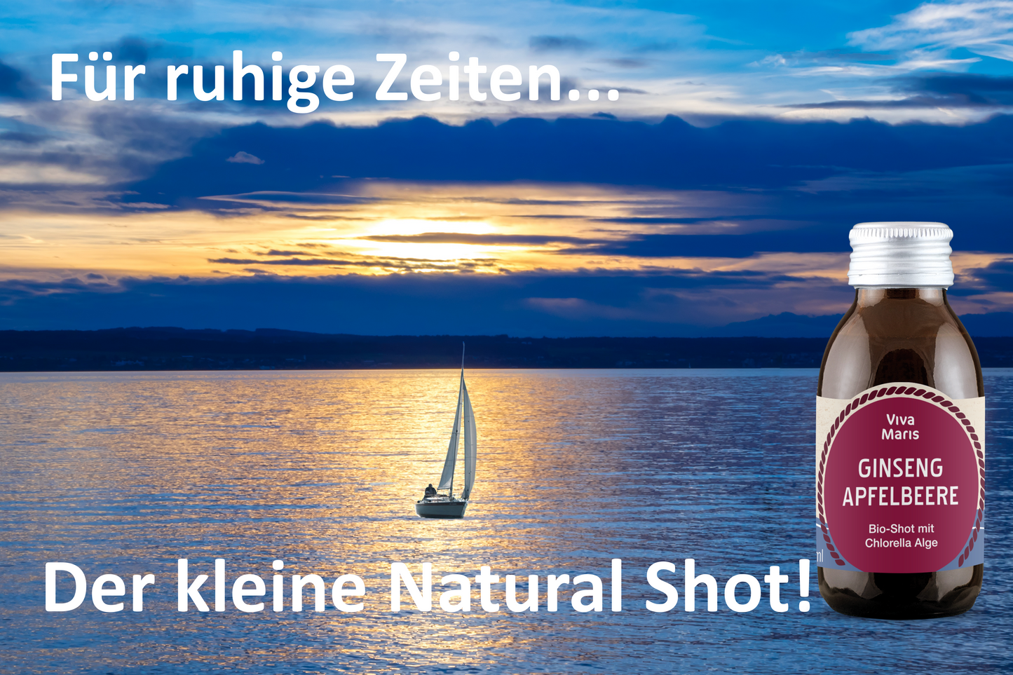 🌱👉 Viva Maris Bio Shot Ginseng/Apfelbeere, mit Vitamin B12, 12x100ml - Viva Maris Onlineshop